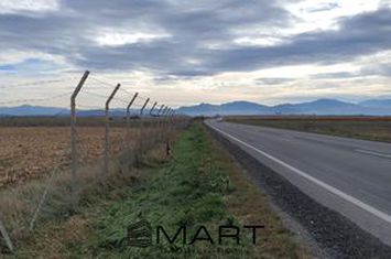 Teren de vanzare BRASOV - Brasov anunturi imobiliare Brasov