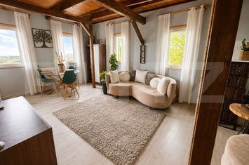 Casă - 3 camere de vanzare SALICEA - Cluj anunturi imobiliare Cluj