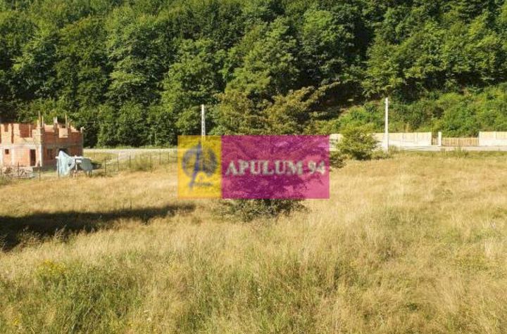 Teren Județul Vâlcea - Brezoi, Valea lui Stan anunturi imobiliare Valcea