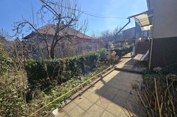 Andrei Muresanu, 570mp, front 20m, zona superba, comision 0 anunturi imobiliare Cluj