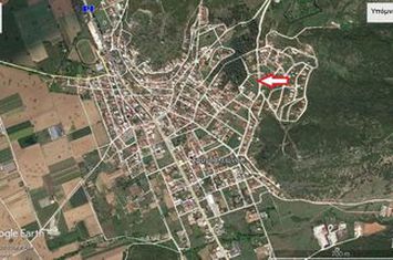 Teren construibil 500 mp în Amigdaleonas anunturi imobiliare Grecia