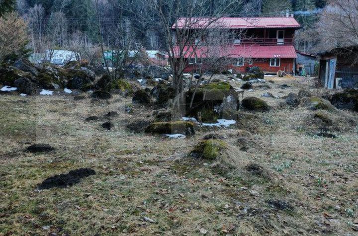 Casă - 9 camere de vanzare RASNOV - Brasov anunturi imobiliare Brasov