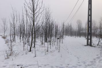 Casă - 3 camere de vanzare NEGOSTINA - Suceava anunturi imobiliare Suceava