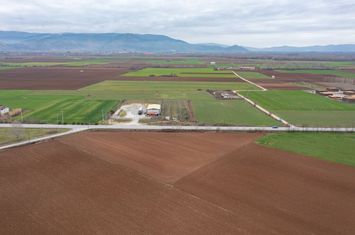 Teren construibil 6073 mp în Ftelia anunturi imobiliare Grecia
