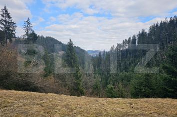 Teren de vanzare SCARISOARA - Alba anunturi imobiliare Alba