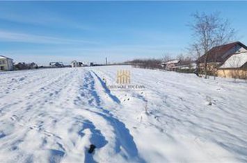 Teren Intravilan de vanzare LISAURA - Suceava anunturi imobiliare Suceava