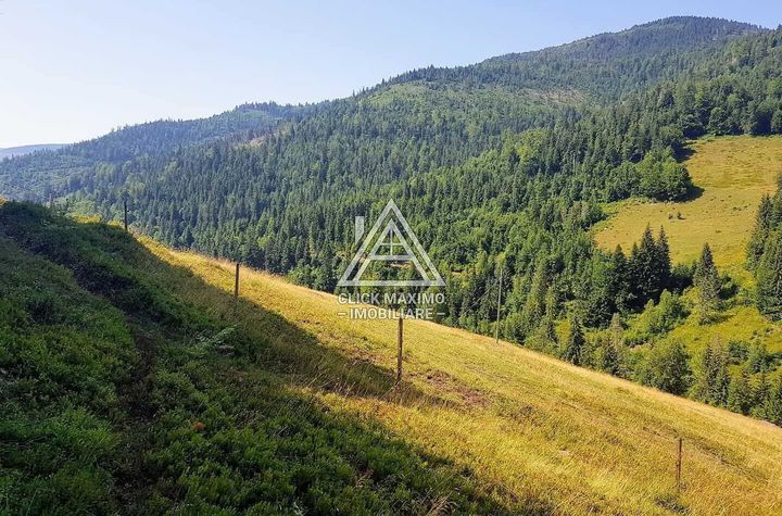 7130 mp TEREN INTRAVILAN ARIESENI-ALBA langa viitoarea partie de SCHI anunturi imobiliare Alba