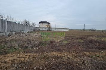 VANZARE TEREN INTRAVILAN 950 MP CERNICA-TANGANU anunturi imobiliare Bucuresti