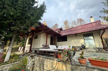 Vilă - 4 camere de vanzare TAUTII DE SUS - Maramures anunturi imobiliare Maramures