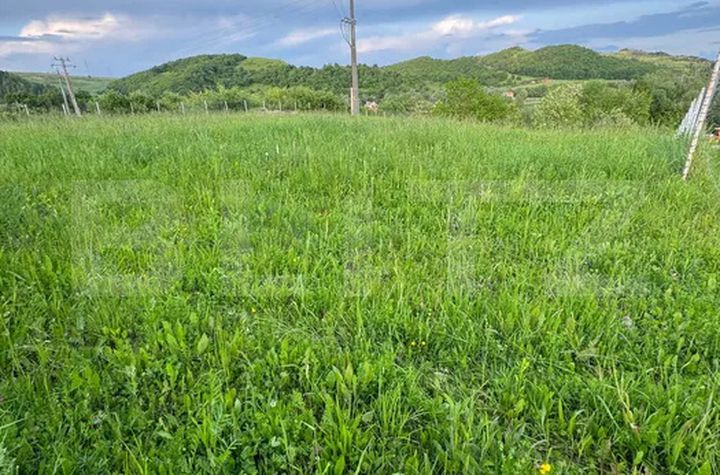 Teren de vanzare GILAU - Cluj anunturi imobiliare Cluj