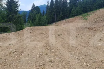 Teren de vanzare VATRA DORNEI - Suceava anunturi imobiliare Suceava