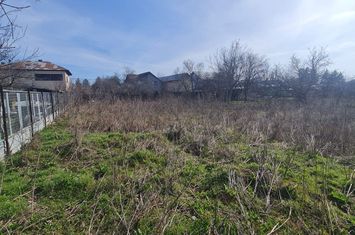 Theodor Pallady - Ikea anunturi imobiliare Bucuresti