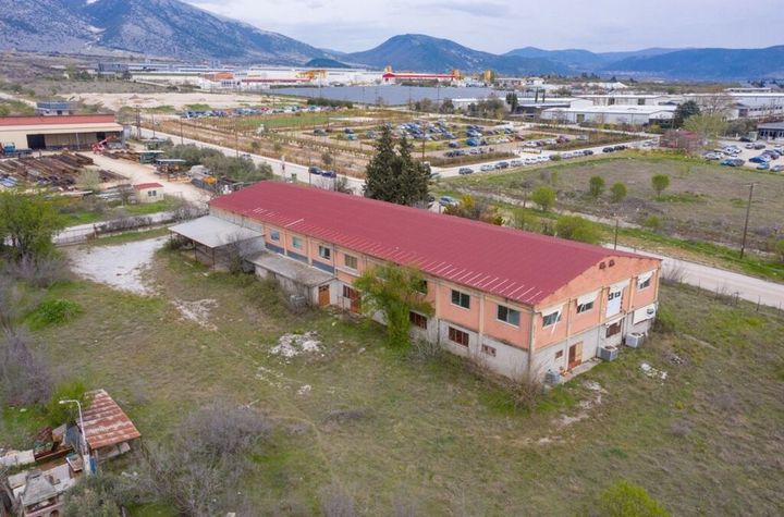 Spațiu industrial 1.681 mp în zona industrială Drama anunturi imobiliare Grecia