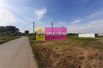 Teren construcție casă - 1 Decembrie - Zona Metropolitană București anunturi imobiliare Bucuresti