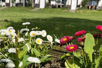 Casă - 16 camere de vanzare EXTERIOR EST - Mures anunturi imobiliare Mures