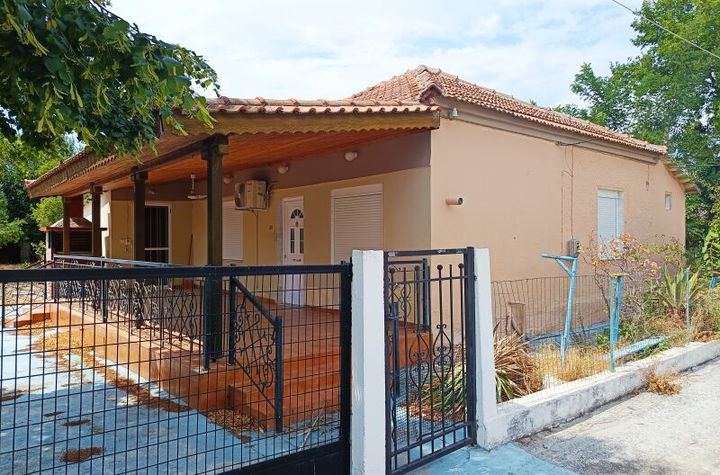Casă parter 68 mp pe teren 1.255 mp în Skotoussa anunturi imobiliare Grecia