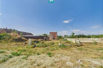 Teren 1000 mp Uliuc, cu fundație și proiect casă anunturi imobiliare Timis