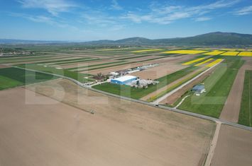 Teren de vanzare BRASOV - Brasov anunturi imobiliare Brasov
