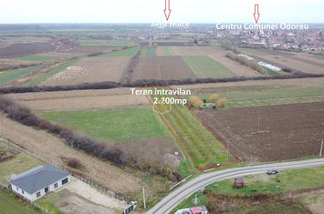 Teren Intravilan de vanzare ODOREU - Satu Mare anunturi imobiliare Satu Mare