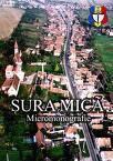 Primăria Șura Mică, dezvoltator imobiliar