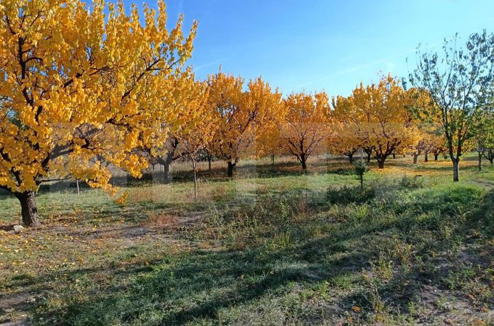 Teren de vanzare MAGURELE - Prahova anunturi imobiliare Prahova