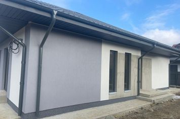 Casa plan parter , Visan ! anunturi imobiliare Iasi