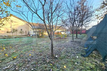 Teren de vanzare BOGDANESTI - Timis anunturi imobiliare Timis