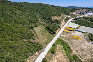 Teren 6.059 mp la intrarea în Folia anunturi imobiliare Grecia