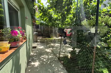 Casă - 4 camere de vanzare SATU MARE - Satu Mare anunturi imobiliare Satu Mare
