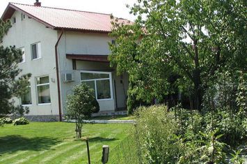 Ciopani vila 5 camere teren 4000 mp anunturi imobiliare Bucuresti