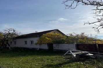 Casă - 4 camere de vanzare SAGU - Arad anunturi imobiliare Arad