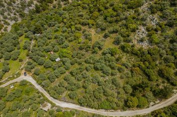 Teren 5.476,45 mp în Kallirachi, Thasos anunturi imobiliare Grecia