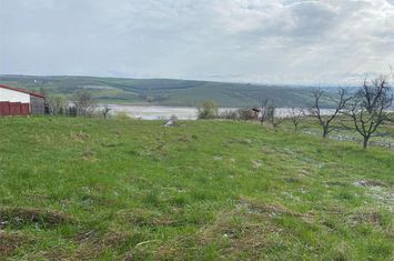 Teren Intravilan de vanzare FALTICENI - Suceava anunturi imobiliare Suceava
