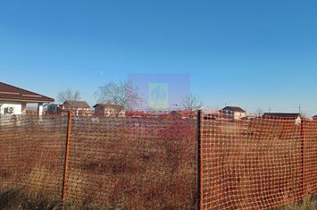 Săbăreni, teren intravilan construibil, cu utilităti in apropiere anunturi imobiliare Giurgiu