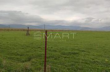 Teren de vanzare PREJMER - Brasov anunturi imobiliare Brasov