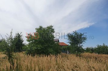 Izvorani - Snagov - Complex COR - zona vile noi anunturi imobiliare Bucuresti