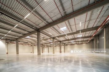 Spațiu industrial de inchiriat IASI - Iasi anunturi imobiliare Iasi