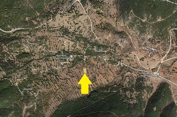 Teren construibil 1.000 mp în Makrychori, front 55 m anunturi imobiliare Grecia