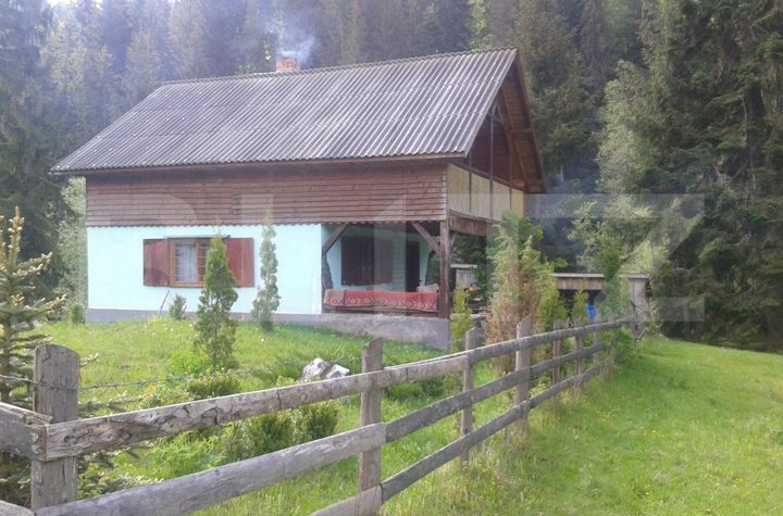 Casă - 3 camere de vanzare BISTRITA - Bistrita-Nasaud anunturi imobiliare Bistrita-Nasaud