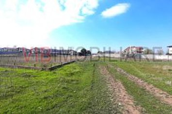 Corbeanca - Tamas, teren intravilan 19.325 mp anunturi imobiliare Bucuresti