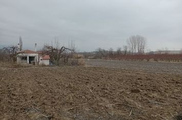Teren construibil 15.000 mp, Serres anunturi imobiliare Grecia