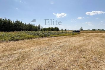 Teren intravilan 1114 mp Sanmartin anunturi imobiliare Bihor