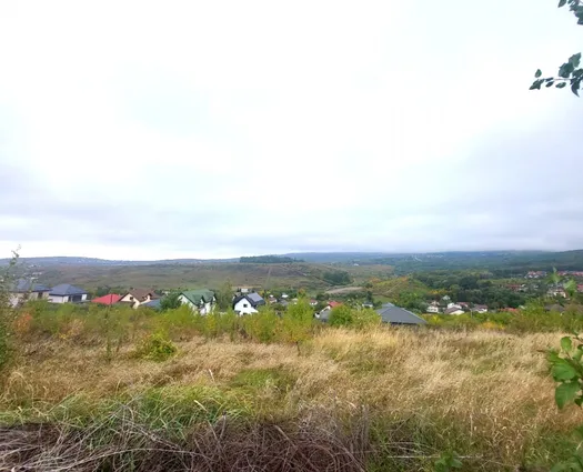 Teren Barnova, 774 mp