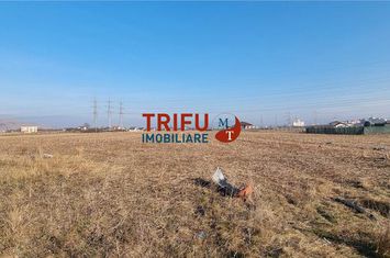 Teren Intravilan de vanzare CENTRAL - Alba anunturi imobiliare Alba