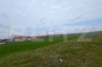 Teren de vanzare SIMNICU DE SUS - Dolj anunturi imobiliare Dolj