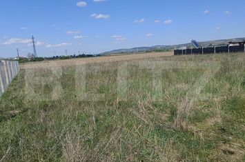 Teren de vanzare ALBA IULIA - Alba anunturi imobiliare Alba