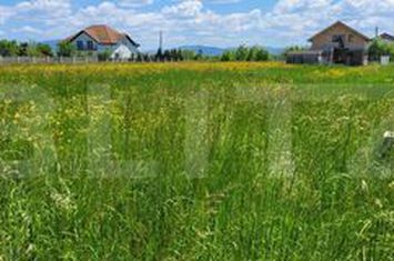 Teren de vanzare HARMAN - Brasov anunturi imobiliare Brasov