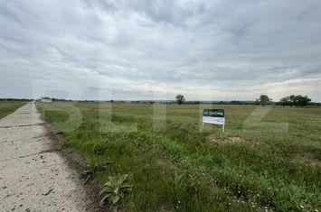 Teren de vanzare CRAIOVA - Dolj anunturi imobiliare Dolj