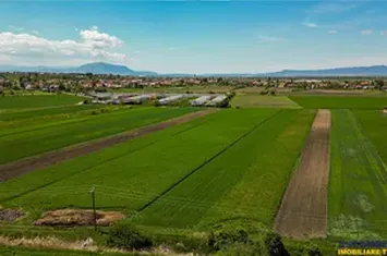 Teren Extravilan de vanzare BOD - Brasov anunturi imobiliare Brasov