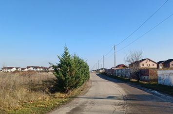 Teren de vanzare CORBEANCA - Bucuresti anunturi imobiliare Bucuresti
